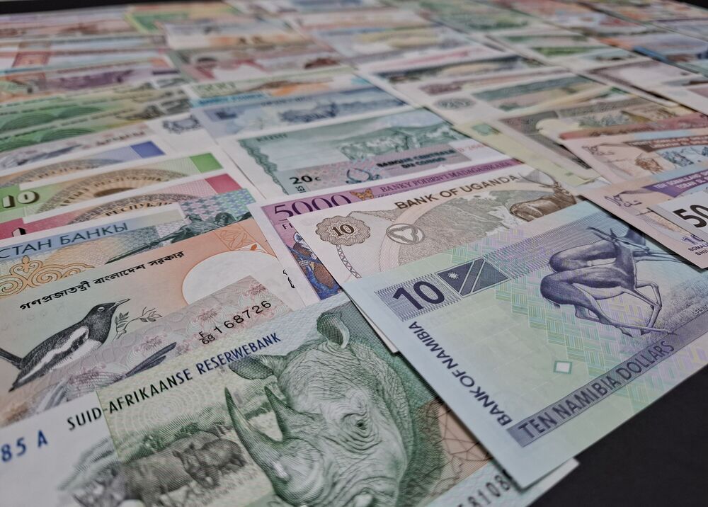  Animals - Group of 100 notes - AU/UNC