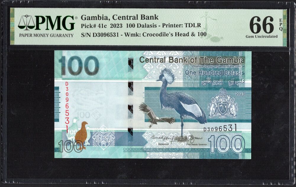 Gambia - 100 Dalasis 2023 - Pick # 41c - PMG 66 EPQ
