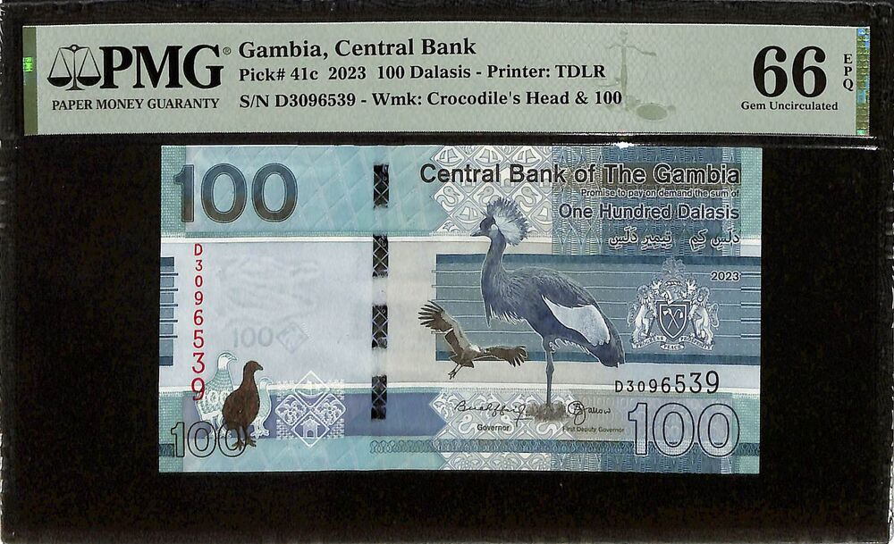Gambia - 100 Dalasis 2023 - Pick # 41c - PMG 66 EPQ