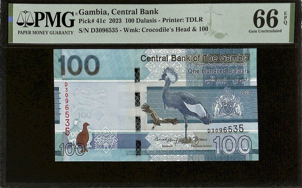 Gambia - 100 Dalasis 2023 - Pick # 41c - PMG 66 EPQ