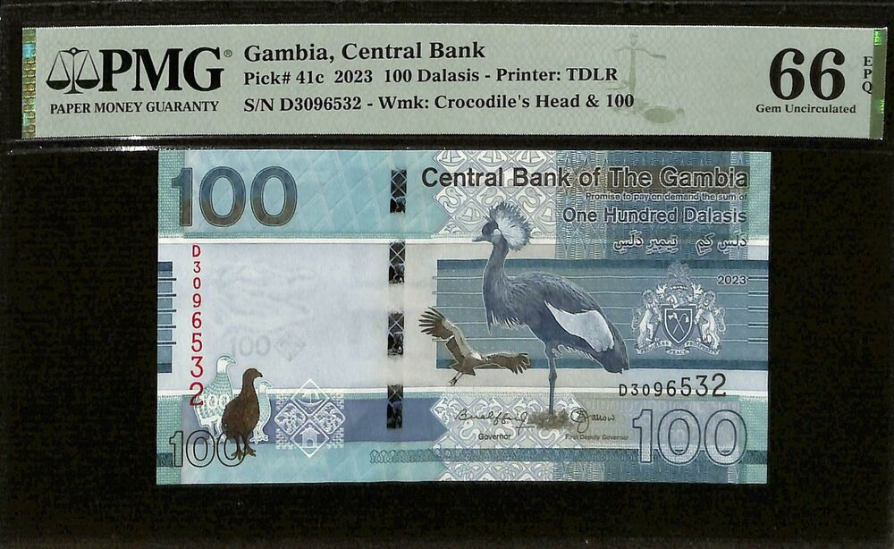 Gambia - 100 Dalasis 2023 - Pick # 41c - PMG 66 EPQ