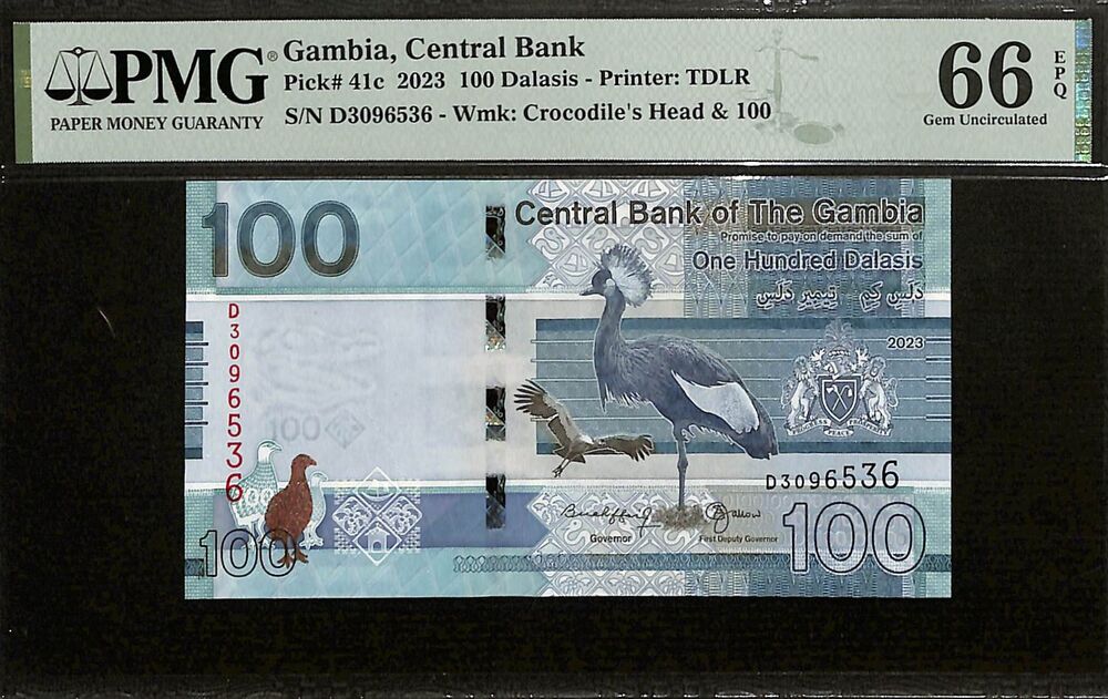 Gambia - 100 Dalasis 2023 - Pick # 41c - PMG 66 EPQ