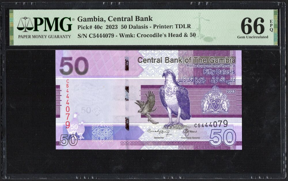 Gambia - 50 Dalasis 2023 - Pick # 40c - PMG 66 EPQ