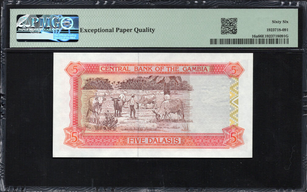 Gambia - 5 Dalasis ND (1996) - Pick # 16a - PMG 66 EPQ