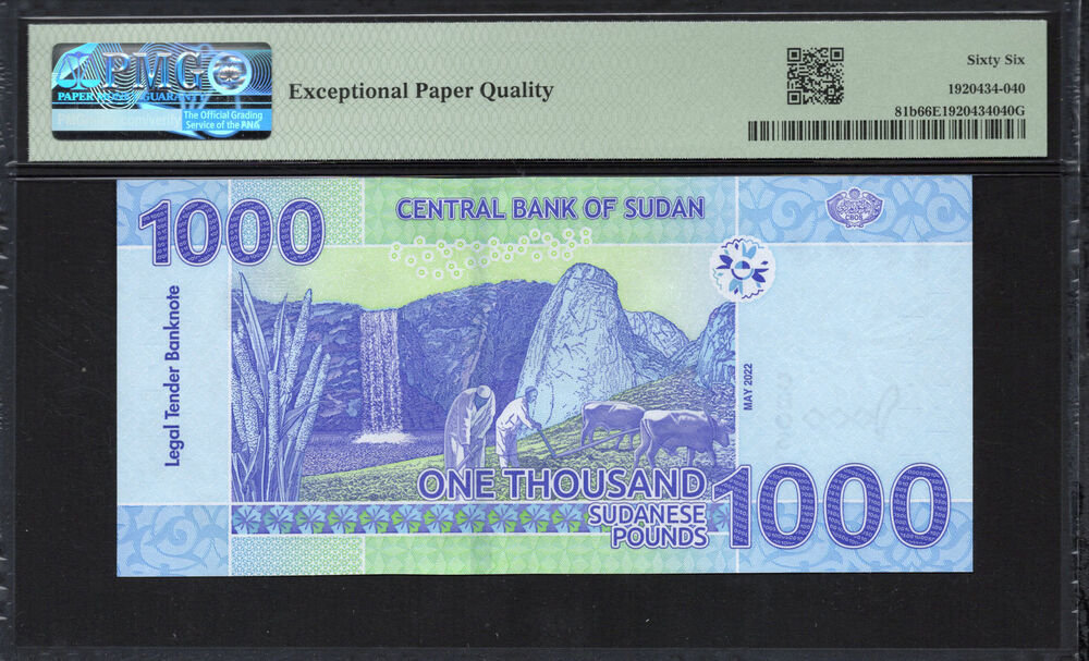 Sudan - 1.000 Sudanese Pounds 2022 - Pick # 81b - PMG 66 EPQ