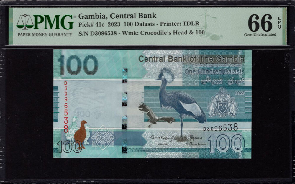 Gambia - 100 Dalasis 2023 - Pick # 41c - PMG 66 EPQ