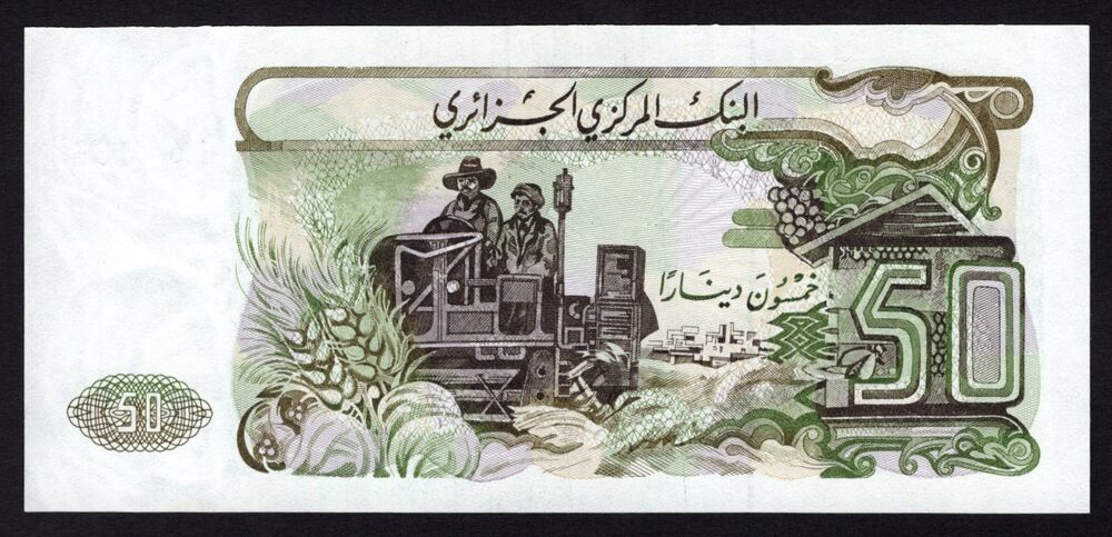 Algeria - 50 Dinars 1977 - Pick # 130 - UNC