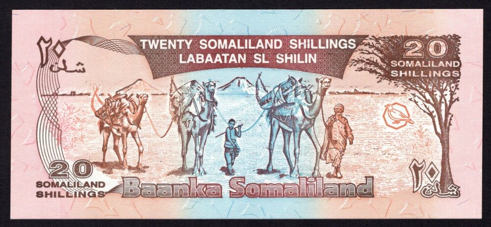 Somaliland - 20 Shillings 1996 - Pick # 10 - UNC