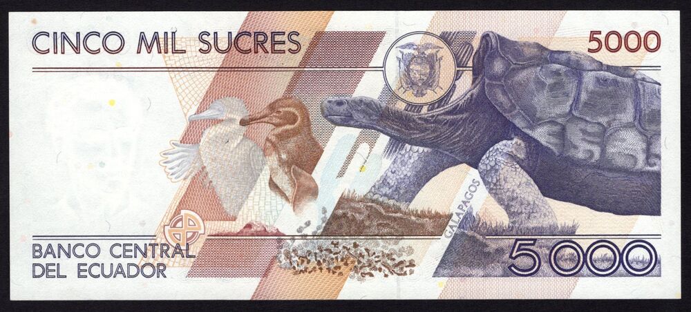 Ecuador - 5000 Sucres 1996 - Pick # 128b* - Replacement - UNC